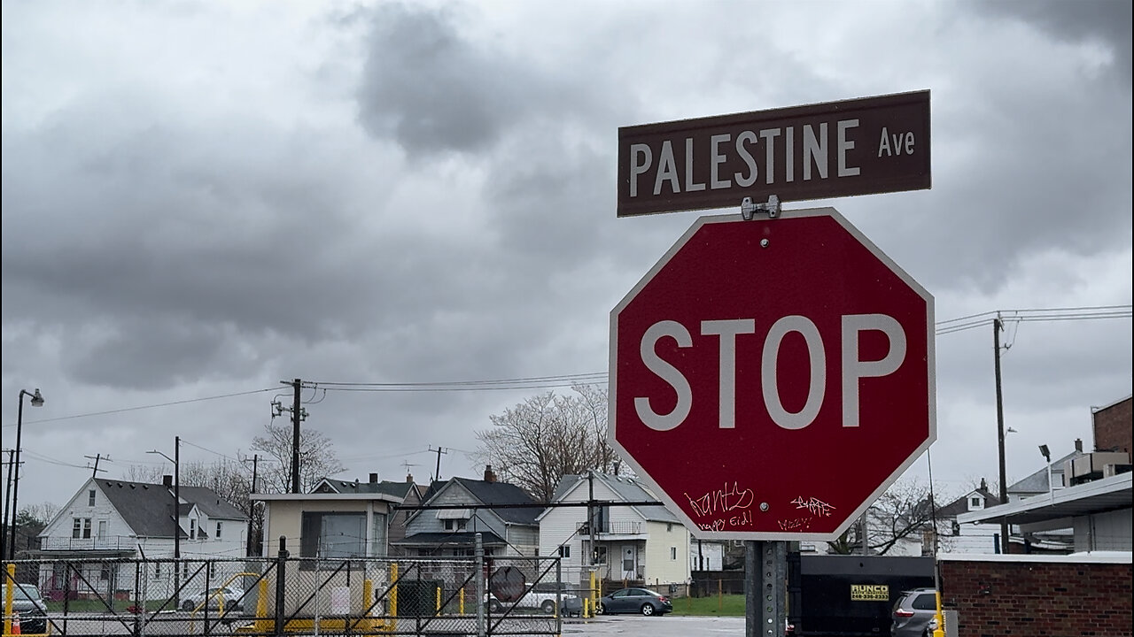 New ‘Palestine Avenue’ Signs Up in Hamtramck, Michigan