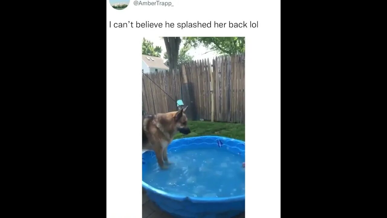HE JUST LEARNED HOW TO SPLASH BACK