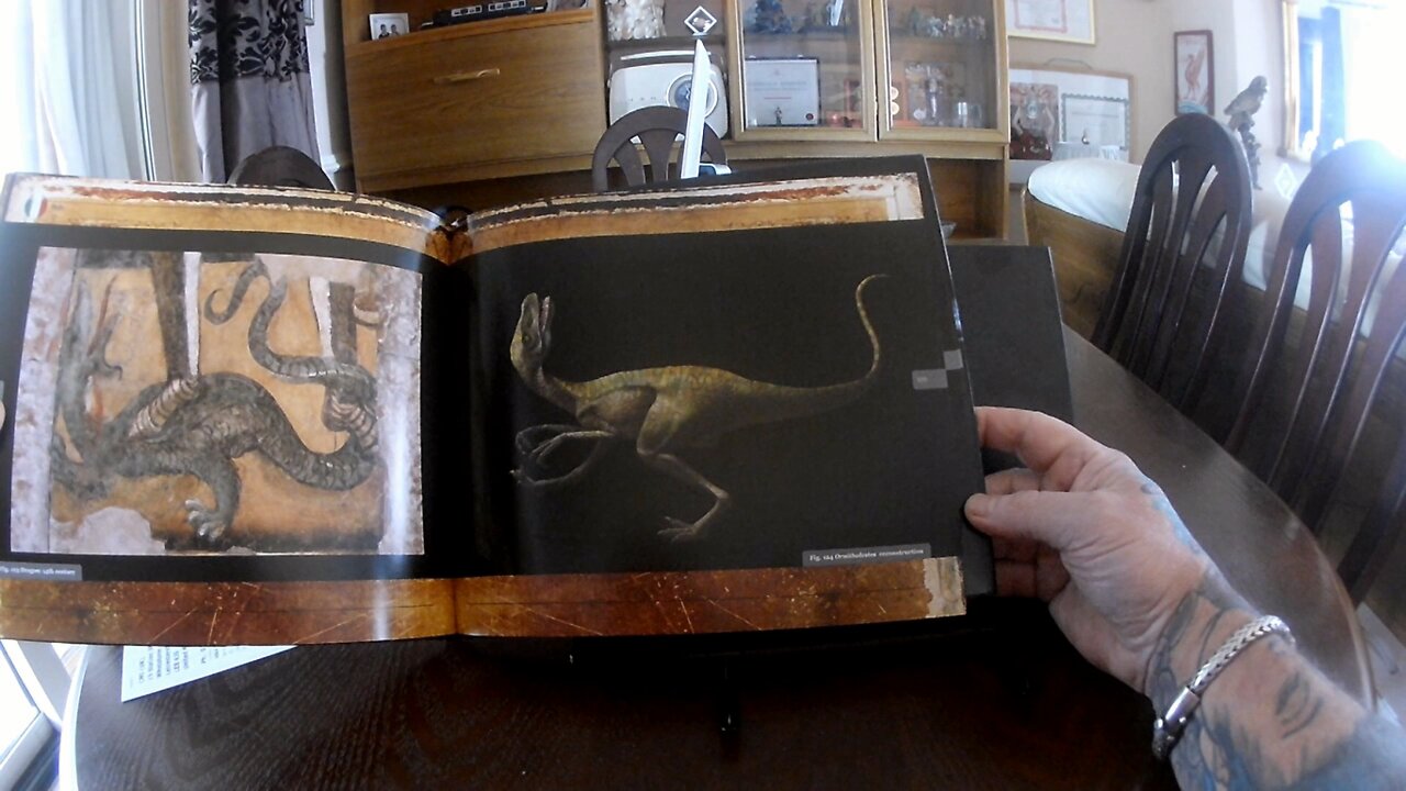 Part 2 Dinosaurs Living Alongside Man. Untold Secrets of Planet Earth.