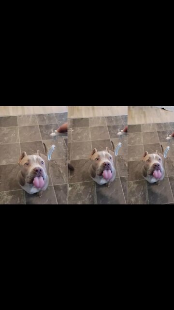 Creamer: How did they miss EVERY SINGLE ONE