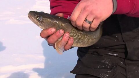 MidWest Outdoors TV Show #1558 - Lake Winnebago Ice Fishing with the Eskimo Crew