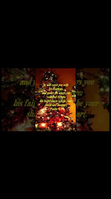 Daily Bible Verse short for day of December 12 2022