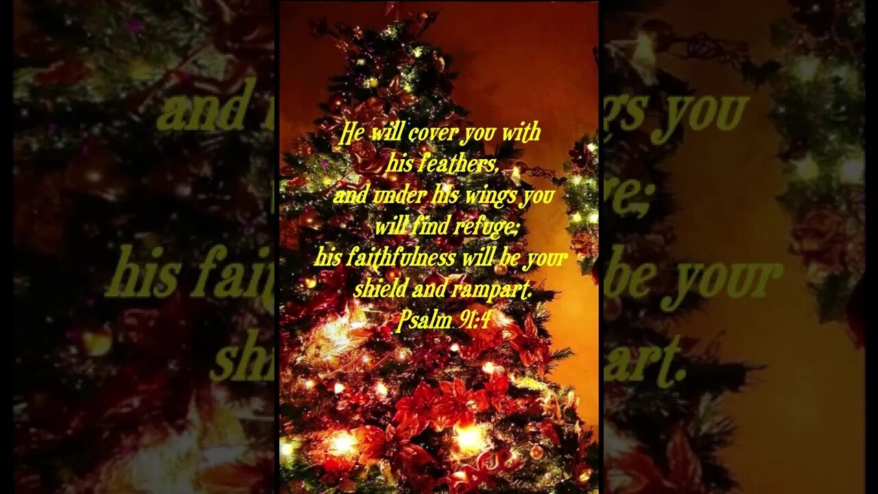 Daily Bible Verse short for day of December 12 2022