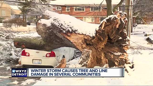 Winter storm causes tree and line damage in several communities