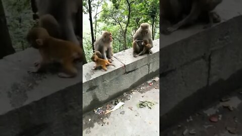 Don't Touch My Kids