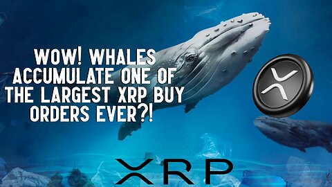 Whales Accumulate One Of The LARGEST XRP Buy Orders EVER?!