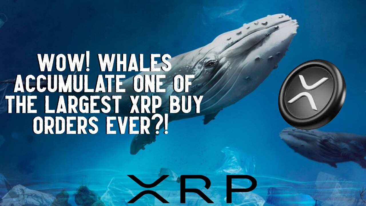Whales Accumulate One Of The LARGEST XRP Buy Orders EVER?!