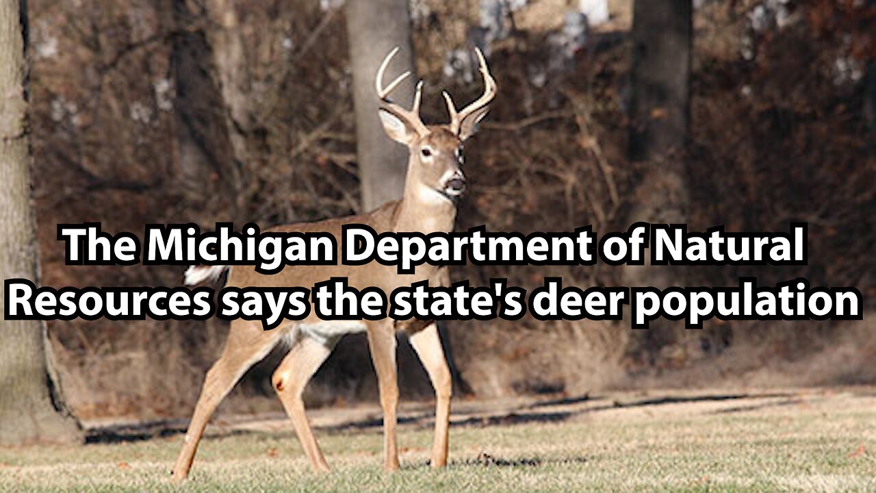 The Michigan Department of Natural Resources says the state's deer population