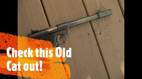 Ruger MK1 with comp 1958 products date!