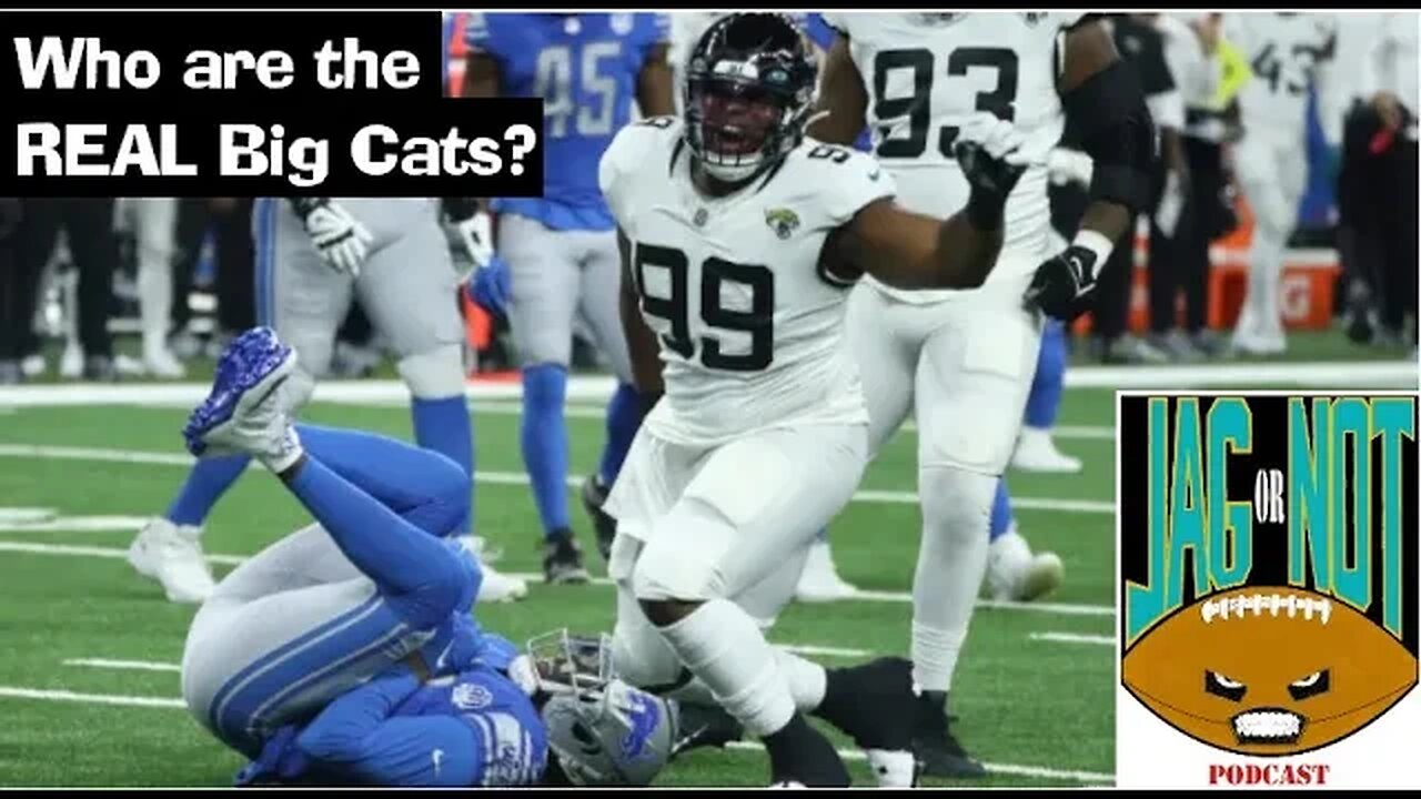 Who Are The REAL Big Cats?