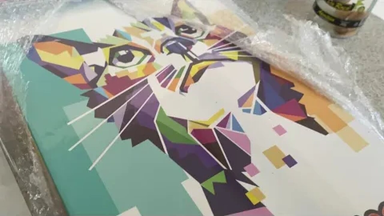 Unboxing do arranhador para gatos da BRINQPET só papelão rsrs