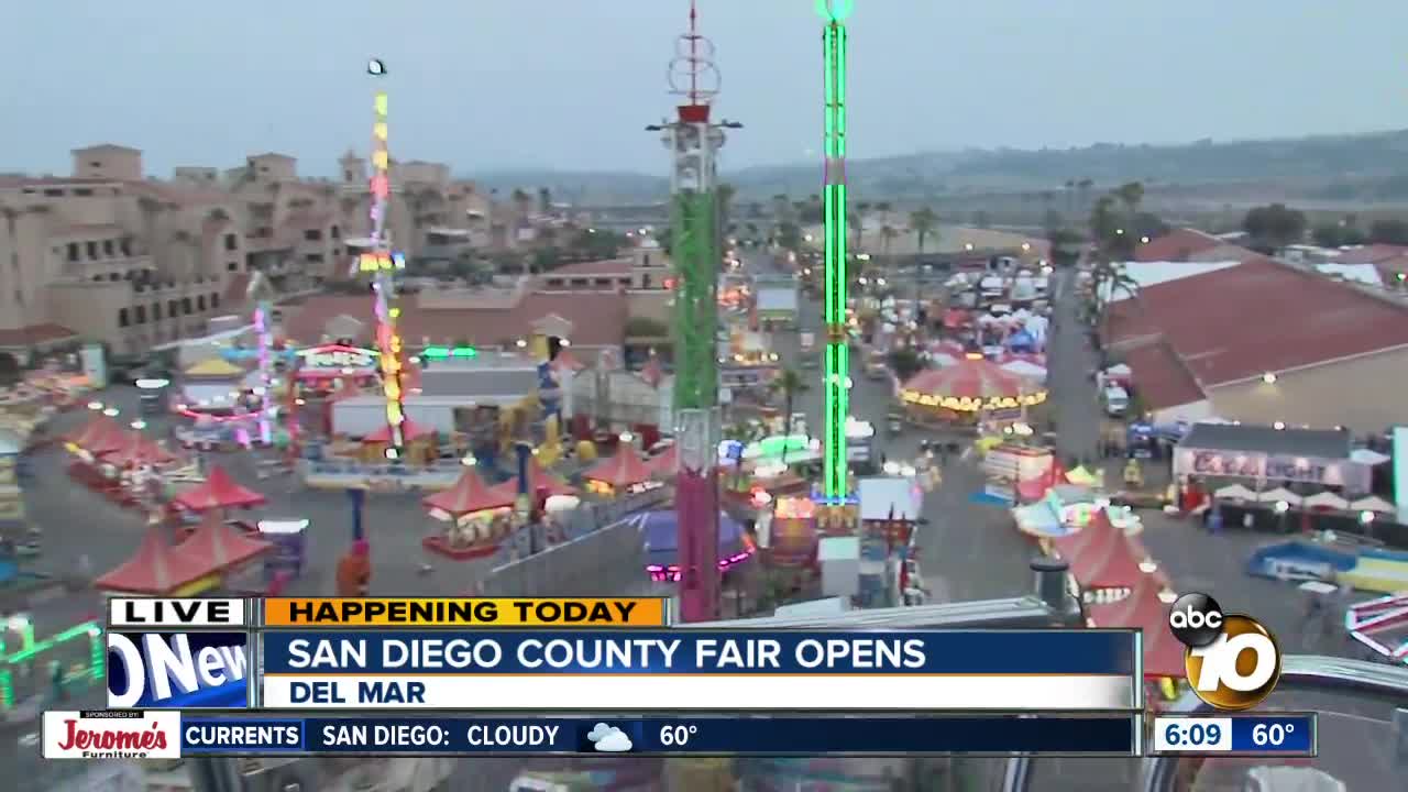 What can visitors expect at the 2019 San Diego County Fair?