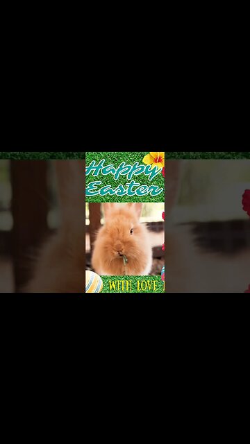 Happy Easter My Friends!