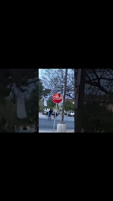 Children Steal from Wallgreens in California