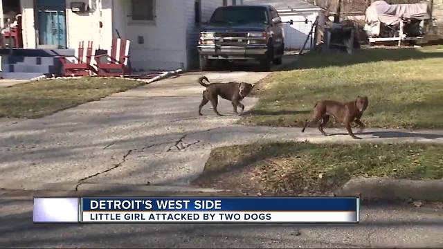 Little girl attacked by town dogs