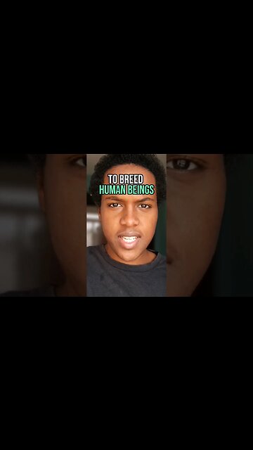 Proof Of The Creator! Allah