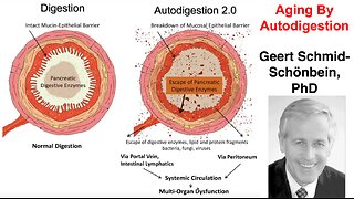 Aging By Autodigestion: overview