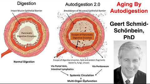 Aging By Autodigestion: overview