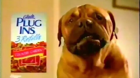 "The Dog is Talking To the Air Freshener Again" 90's Commercial Glade Plugins│ Plug It In Jingle