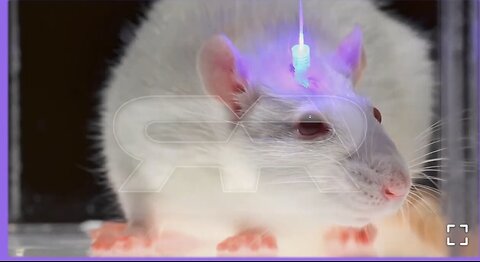 Optogenetics and the Secret Worldwide Nanotech Experiment