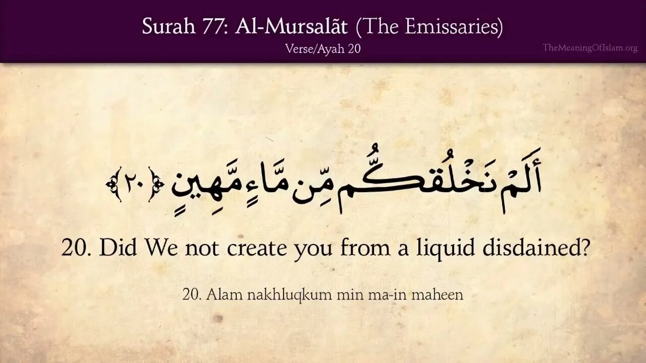 English Quran | Chapter 77 | Surah Al-Mursalat ( The Emissaries )