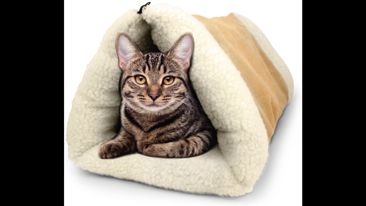 2-in-1 Cat Tunnel Mat 😍 Cool Gadgets