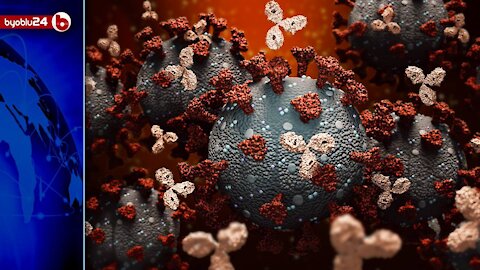 Covid19, scienza: cellule immunitarie