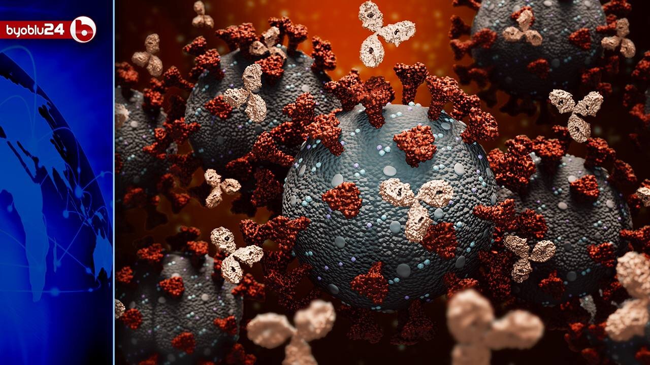 Covid19, scienza: cellule immunitarie