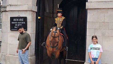 Horse swings for tourist #horseguardsparade