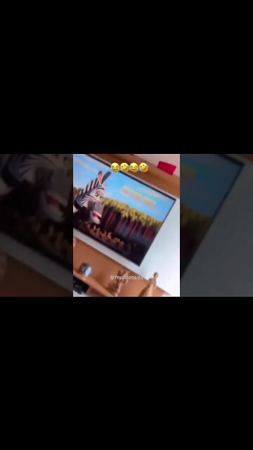 ele é a zebra do Madacascar kkkkkkk