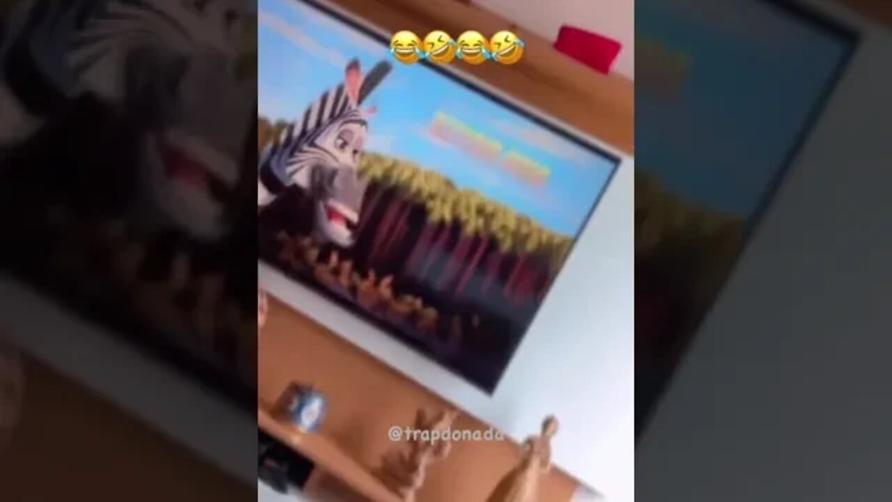 ele é a zebra do Madacascar kkkkkkk