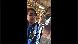 Horse Hilariously Smiles For The Camera On Command