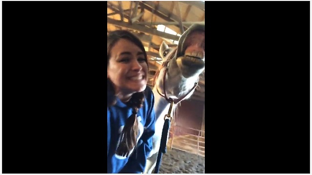 Horse Hilariously Smiles For The Camera On Command