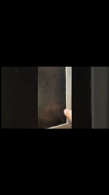 quantos bugs? #shorts