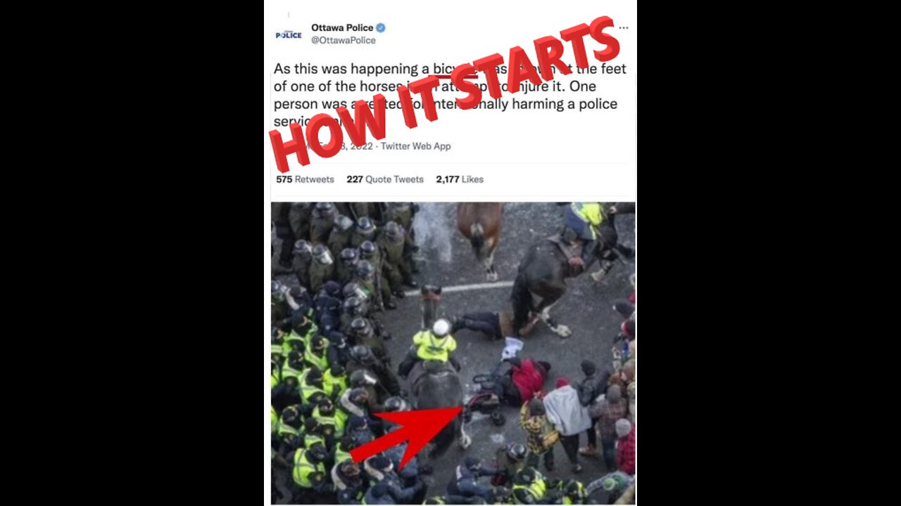 RCMP Tramples An Old Lady: The March Towards Tyranny Continues