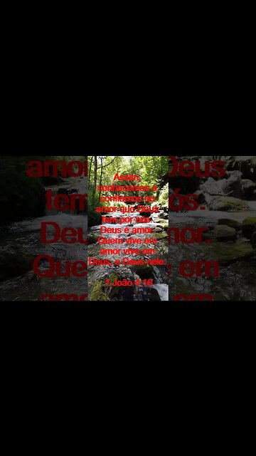 Verso Do Dia | Leitura Inspiradora Para Começar Seu Dia. | 35