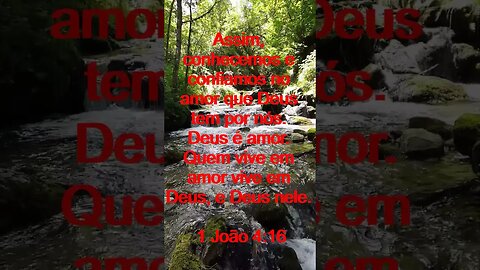 Verso Do Dia | Leitura Inspiradora Para Começar Seu Dia. | 35