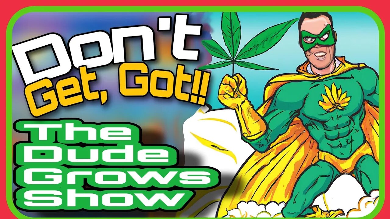 Guarding Your Green: Virus Prevention in Cannabis Cultivation - The Dude Grows Show 1,496