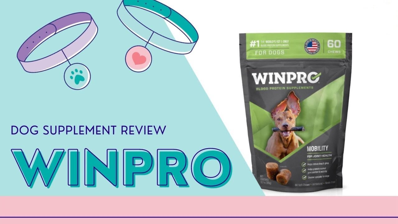 Best Joint Supplements For Dogs,Winpro Supplements