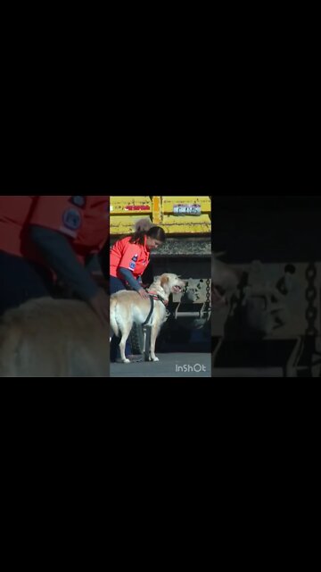 Michael “Monkey” Vaughan - Latest Update #bringmichaelhome