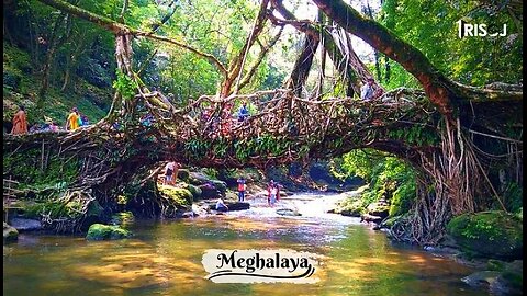 THE WORLD 'S WETTEST PLACE ; MEGHALAYA