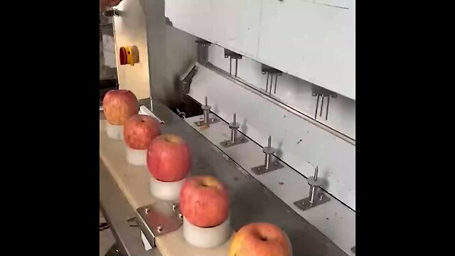 How apples are peeled in a factory? So Satisfying!