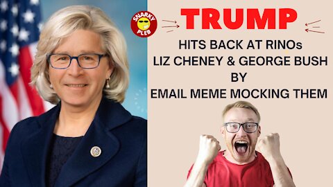 Hilarious! Trump Hits Back At Bush & Cheney By Emailing Meme With Their Faces Morphed Together.