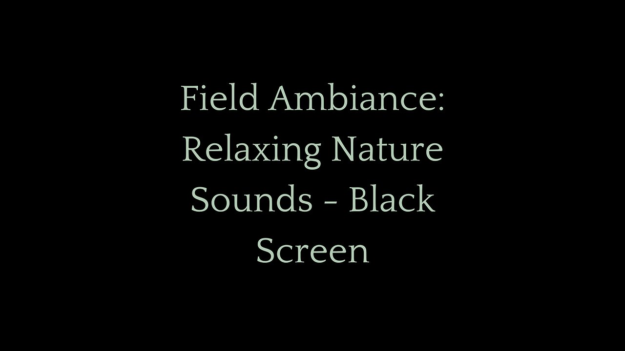 Field Ambiance: Relaxing Nature Sounds - Black Screen | Peaceful Meadow Sounds for Sleep & Focus