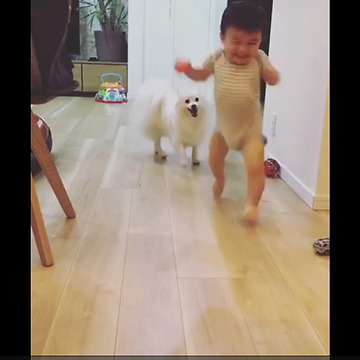 Dog And Baby Take Turns Playing Fetch