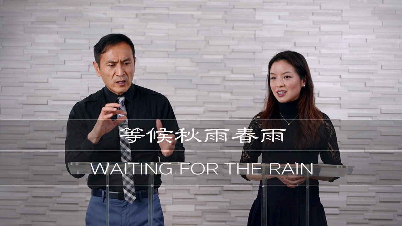 曾子雨 : 等候秋雨春雨 | Chellis Tsang: Waiting for the Rain