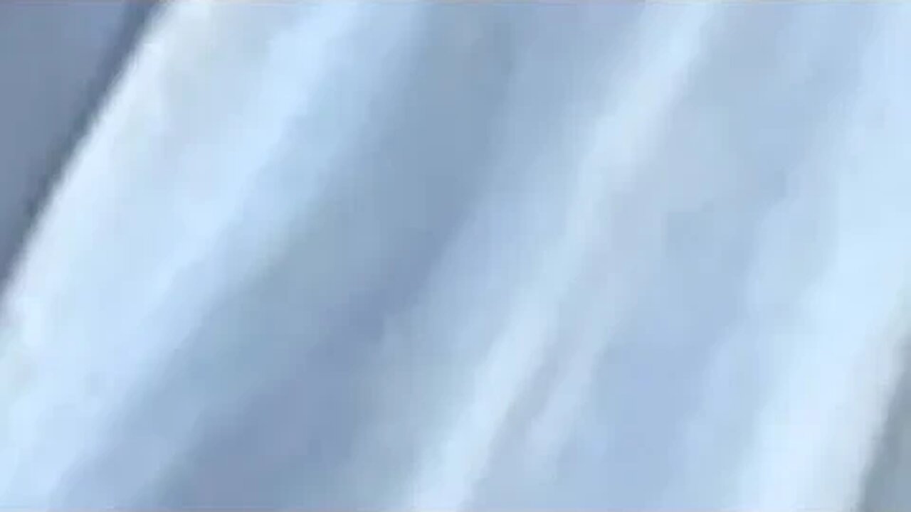 Alleluia Live at Mass (Church Cantor Clips)
