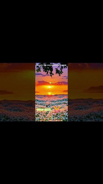 40-Second Euphoria: Sunset Vibes 🌅 | #Shorts