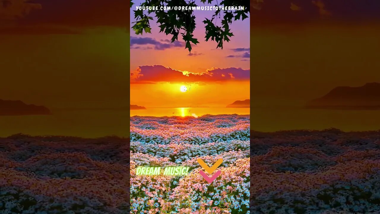 40-Second Euphoria: Sunset Vibes 🌅 | #Shorts