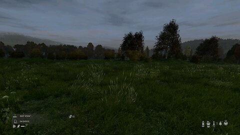 DayZ - 4 Player Wipe